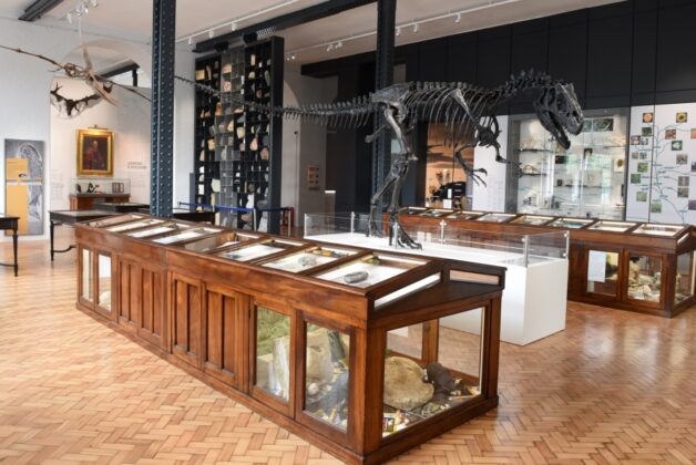Lapworth Museum of Geology – factoring in public access to stores as part of a major redevelopment