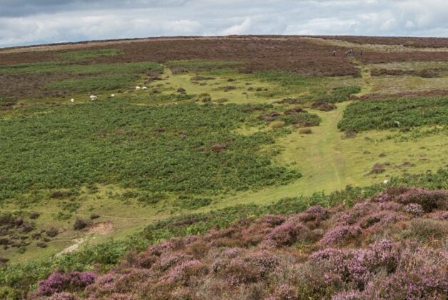 National Trust kick-starts efforts to restore natural landscapes ravaged by climate change