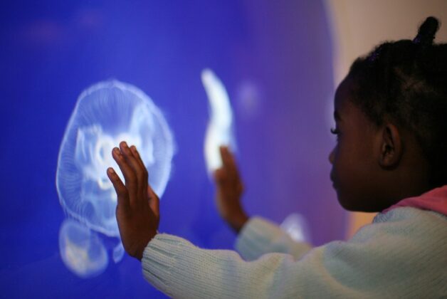 Climate and Ecology Manifesto unveiled by Horniman Museum and Gardens