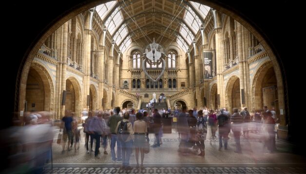 New Natural History Museum facility to rescue artefacts from ‘sub-standard conditions’