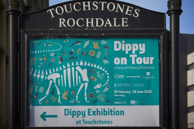 Future plans unclear as penultimate leg of Dippy on Tour suspended
