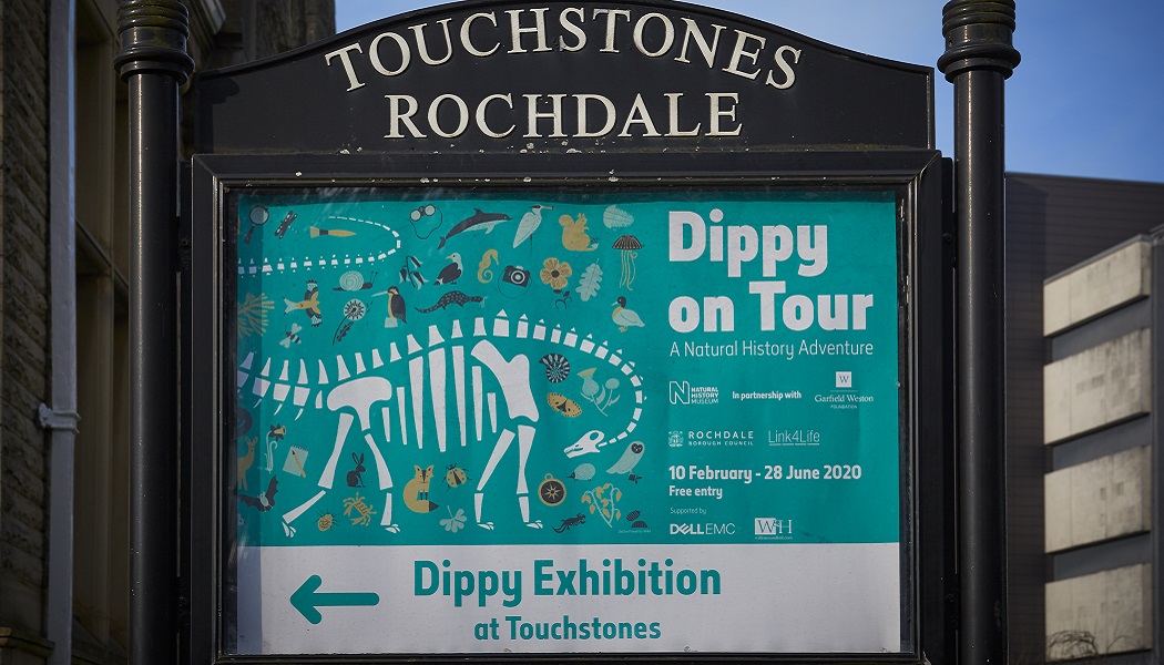 Dippy on Tour