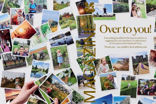 Government must prioritise green economy, National Trust urges despite £200m loss warning