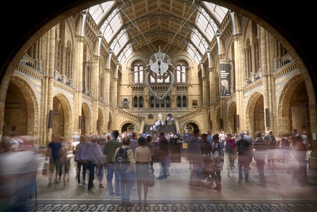 NHM data visualisation project to reveal ‘unprecedented view of our world’ during lockdown