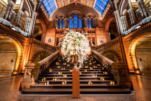 Married at the museum: Natural History Museum further expands venue hire portfolio