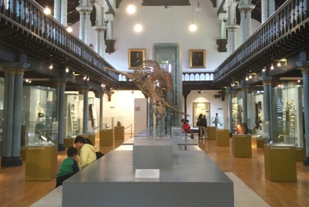 New Museums Galleries Scotland fund launched to support civic and university museums