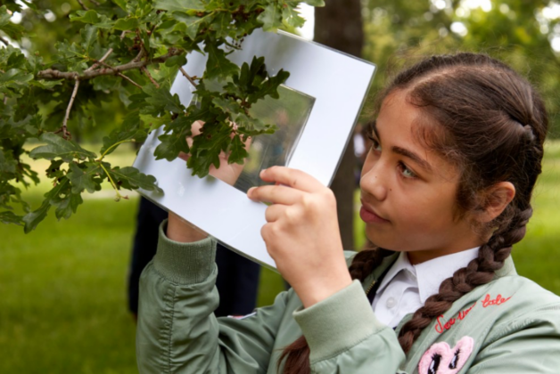 Natural History Museum’s urban nature programme backed by string of UK museums 