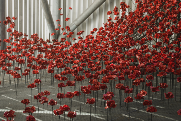 Poppy sculptures to take permanent home at IWM North