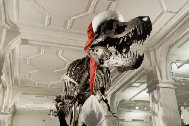 Dinosaurs get into the Christmas spirit at UK museums