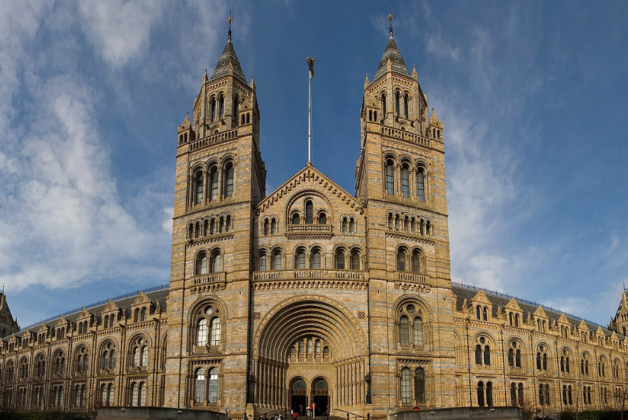 New Year Honours at ACE, Natural History Museum, Historic England