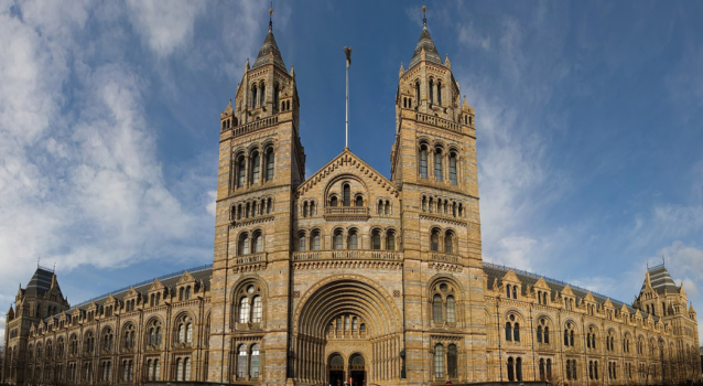 Natural History Museum by Diliff (CC BY-SA 3.0)