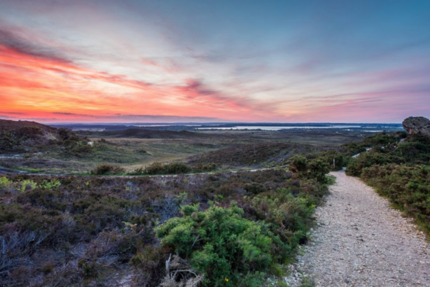 Fire under control at National Trust managed nature reserve in Dorset