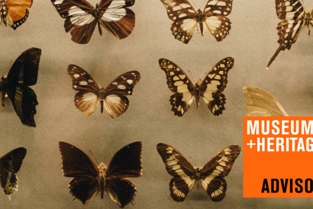Museum Moves 12 – 17th March 2022