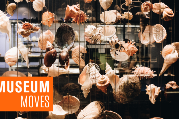 Museum Moves 14th – 20th April 2022