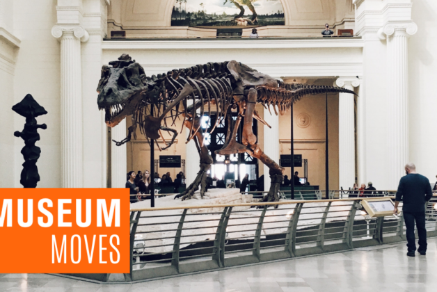 Museum Moves 21 – 28 April 2022