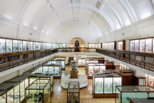 Horniman appoints lead architect for major ‘Nature + Love’ project 