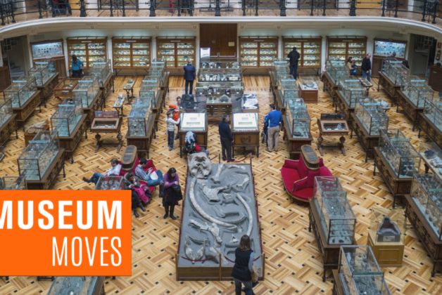 Museum Moves 9 – 15 June 2022