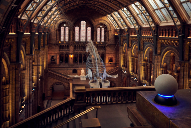 Natural History Museum adds its knowledge to Amazon’s voice assistant