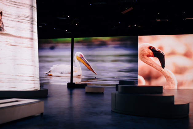 Electrosonic and HOLOPLOT partner to create immersive audio environments in experiential spaces