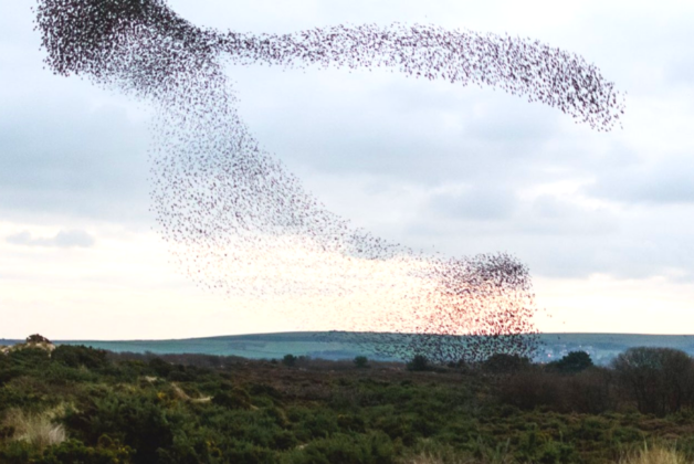 National Trust campaign suggests nature as respite from cost of living crisis