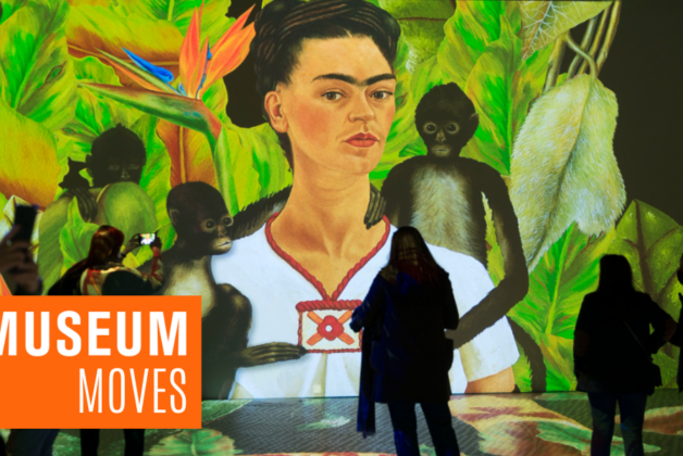 Museum Moves 4 – 10 November 2022
