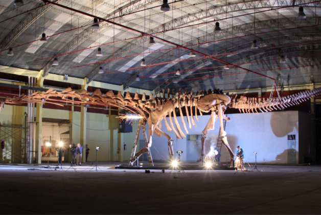 One of Earth’s largest creatures to make debut at Natural History Museum