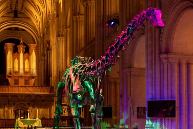 Dippy the Diplodocus heads for three year stint in Coventry