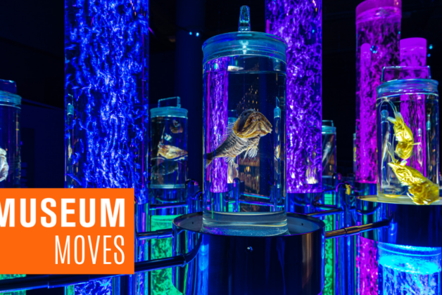 Museum Moves 24 February – 2 March 2023