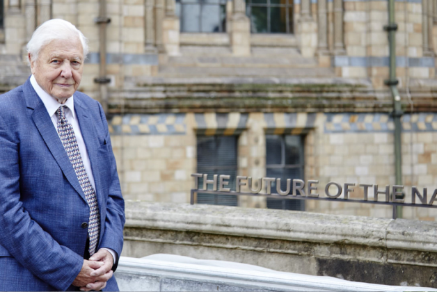 Sir David Attenborough reveals quote installed at Natural History Museum