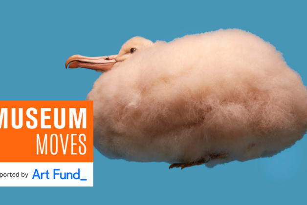 Museum Moves 16 – 22 February 2024