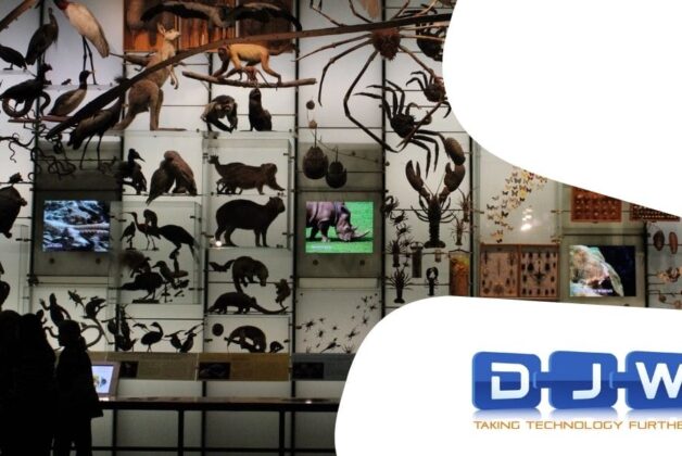 Museum Moves 4 – 10 July 2025