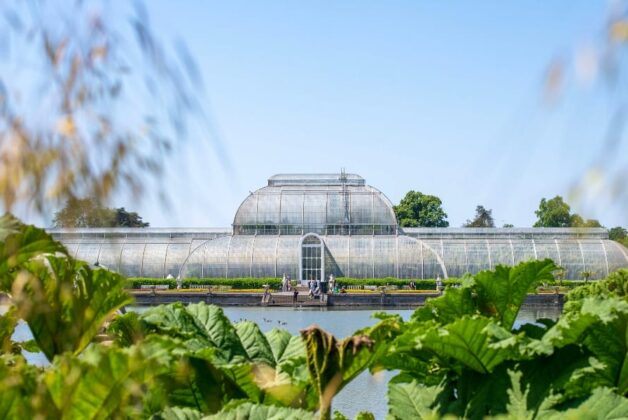 Royal Botanic Gardens’ £60m renovation project secures new largest donation