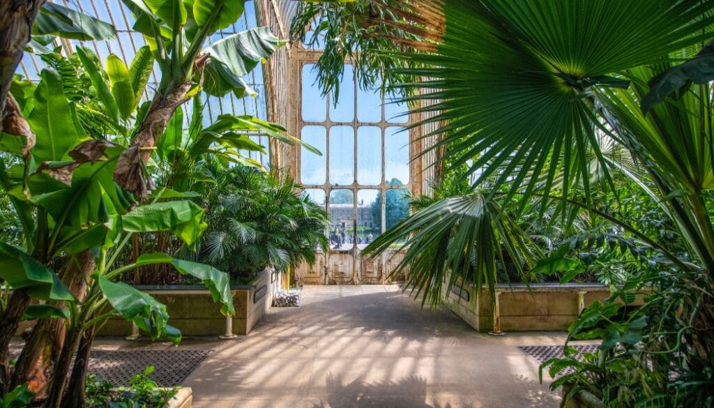 Palm House Interior - Ines Stuart-Davidson © Board of Trustees, RBG Kew