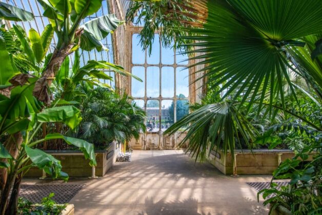 Kew launches public appeal to help £66m Victorian glasshouse project 