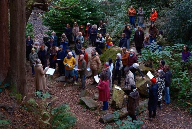 Tate, Baltic and Turner Contemporary among galleries staging nationwide nature action day