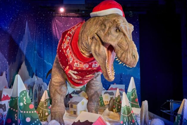 Natural History Museum launches fifth Christmas T Rex display and knitwear