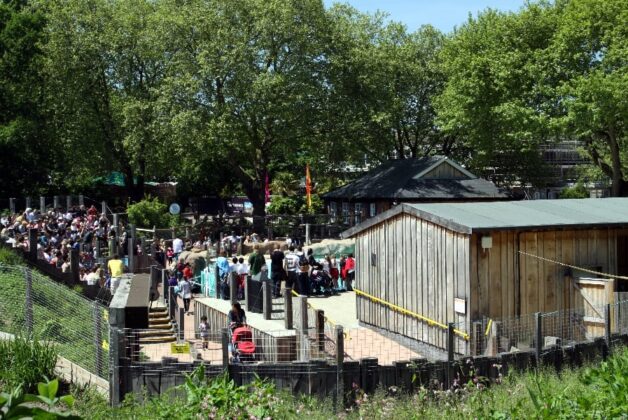 Zoological Society of London CEO resigns 