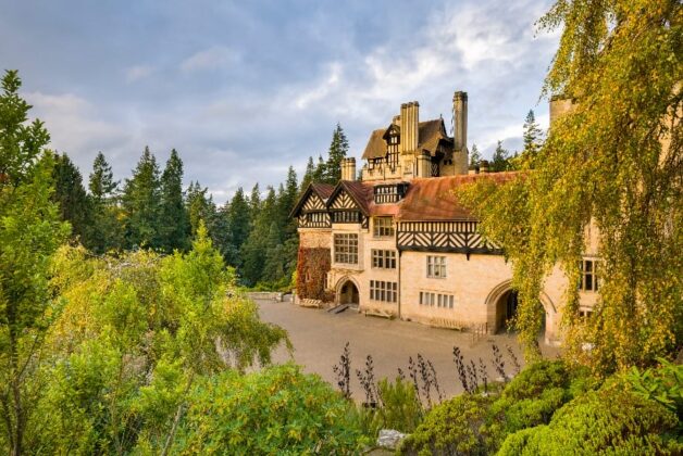 Art Fund awards £1.3m in final round of Reimagine programme