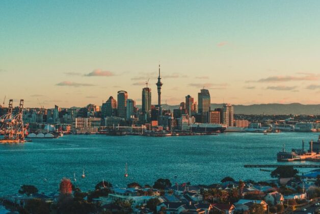 ‘What a decade in New Zealand taught me about the UK museum sector’