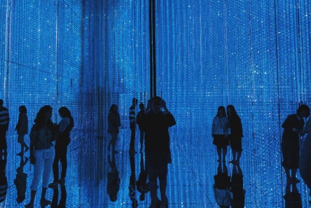 ‘Digital Arts’: Arts Council introduces first new discipline in 20 years