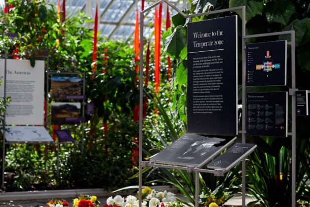 How to reimagine wayfinding to engage new audiences