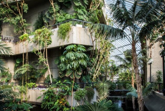 Public to adopt plants from Barbican Conservatory ahead of works