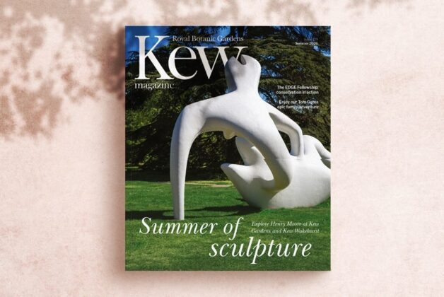 Tangible Connections: Using a print magazine as your shop window