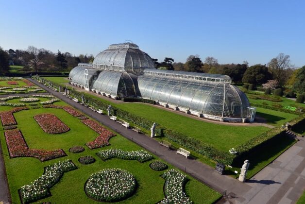 Kew gardens reduces fossil fuel consumption by 22% in one year 