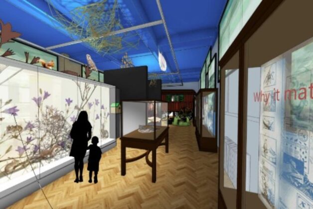 Wolfson fund backs gallery redesign at Bristol Museum & Art Gallery