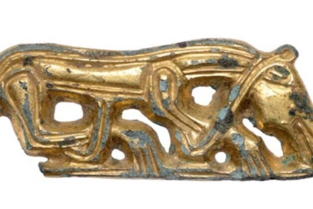 UK institution sought for rare Anglo-Saxon animal mount