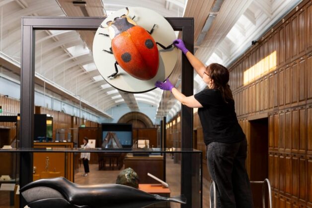First look inside Natural History Museum gallery reopening after 80 years
