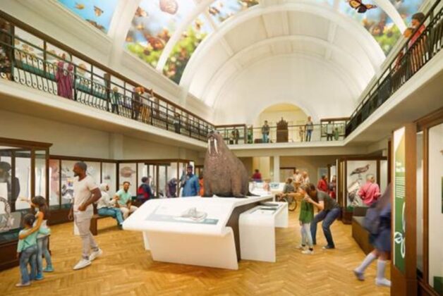 Horniman Museum and Gardens sets opening date for Nature Gallery